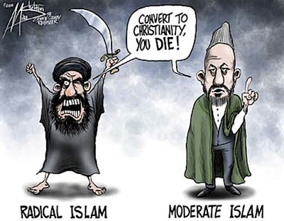radical-moderate-islam-mike-shelton.jpg
