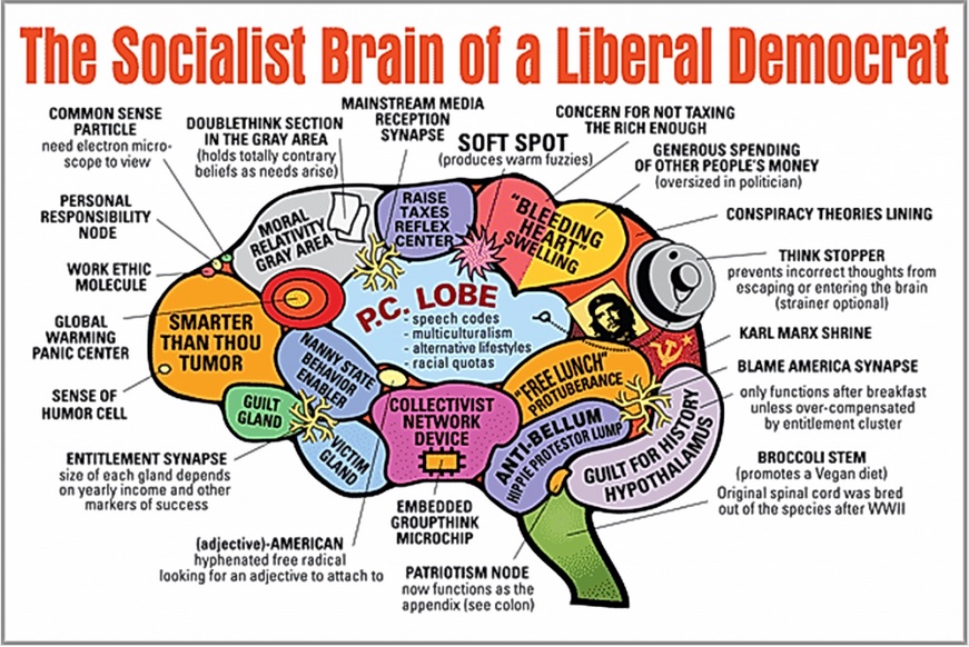 libtard-social-justice-warrior-democrat-brain.jpg